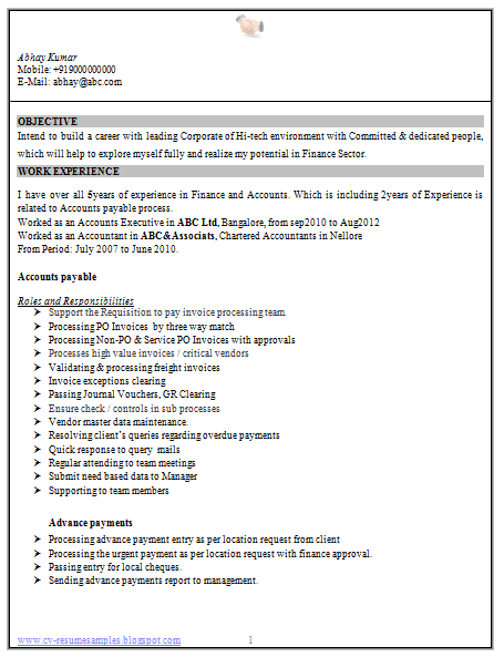 Experience resume format